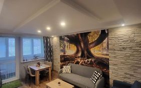 Apartman George